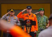 Hujan Ekstrem dan Pohon Tumbang, Dedie Rachim, Saatnya Semua Bergerak Bersama