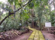 Liburan Akhir Tahun di Ciamis? 5 Destinasi Seru & Murah Ini Wajib Dikunjungi, Mulai Rp6.500 Saja!