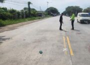 Dua Laka Mengerikan Gresik-Surabaya Tewaskan Warga Duduksampeyan dan Rungkut