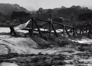 BNPB: Korban Jiwa Bencana Sumatera Capai 950 Orang, Aceh Wilayah Terdampak Terberat