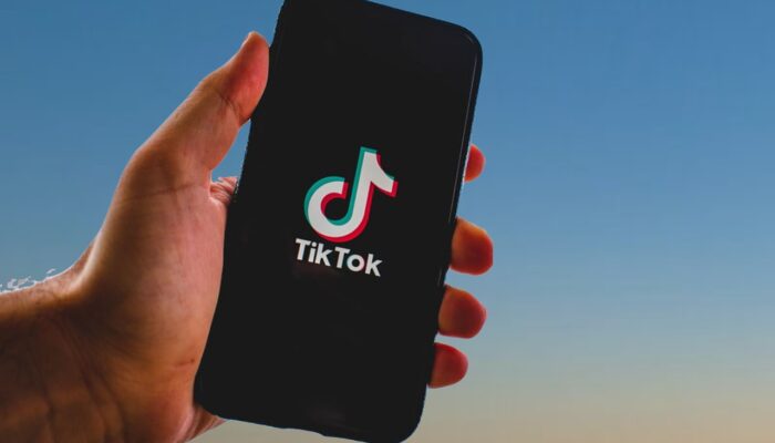 Cara Dapat Uang dari Ternak Klip di TikTok, Cocok untuk Pemula