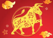 HOKI! 6 Shio Paling Cuan dan Banjir Rezeki pada Hari Ini 10 Desember 2025, Apakah Shio Kerbau Termasuk?