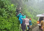 Akibat Rem Blong, Dua Wisatawan Tewas Usai Mobil yang Ditumpangi Terperosok di Tanjakan Jalur Bromo