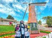 Rayakan Libur Akhir Tahun, Rivera Hadirkan Kids Funfest dengan Promo Tiket Spesial