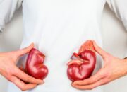 15+ Makanan yang Menyehatkan Ginjal