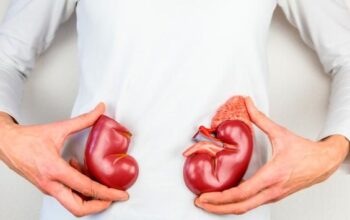 Sering Diabaikan! 4 Kesalahan Makan Ini Diam-Diam Bikin Ginjal Rusak Lebih Cepat 3 ginjal