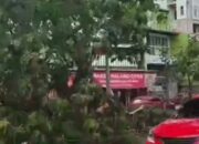 Pohon Tumbang di Jalan Margonda Depok Timpa Mobil, Begini Kondisinya