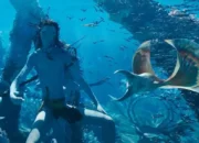 Nonton Avatar Fire and Ash Sub Indo yang Selain LK21, Ini Sinopsis, Nama Pemeran dan Link Tiket Resmi