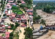 Ide Patungan Beli Hutan untuk Menjaga agar Tidak Rusak, Mulai Bergema di Sosial Media