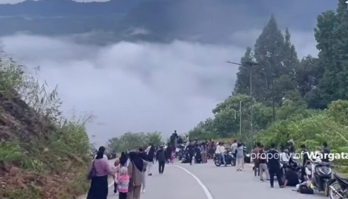 Menyentuh Langit di Tanah Jawara: Keindahan Negeri di Atas Awan Citorek Banten