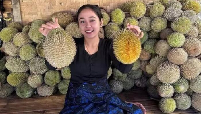 Selama Liburan Nataru, Warga Baduy Siapkan 5.000 Butir Durian
