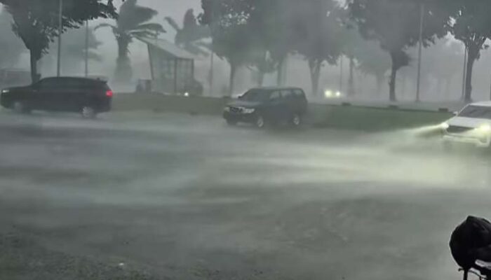 Hujan Angin Mengerikan Terjadi di Kota Surabaya, Puluhan Pohon Tumbang