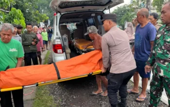 Tabrakan Maut di Pantura, Pengendara dan Pembonceng Tewas di Lokasi 3 Ilustrasi tabrakan maut.