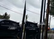 Ratusan Lebah Menyerang Warga di Bekasi, Pengendara Ikut Jadi Sasaran