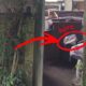 dugaan perlakuan tidak pantas terhadap seekor kucing di area sebuah kafe di Kota Bandung