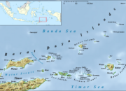 BMKG Laporkan Gempa Magnutindo 4,2 di Laut Maluku Barat Daya