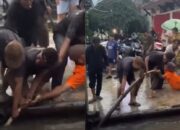 Evakuasi Ular Piton Berukuran Besar di Permukiman Padat Jadi Tontonan Viral