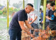 Ikhtiar Dorong Pertumbuhan Ekonomi, Wakil Wali Kota Bogor Bagikan Ayam Petelur