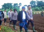 Sinergi Polri dan Pemda, Jagung 750 Hektare Jadi Awal Ketahanan Pangan