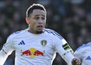 Prediksi Skor Leeds United vs Fulham 17 Januari 2026, Lengkap Link Streaming Legal Bukan Jalalive