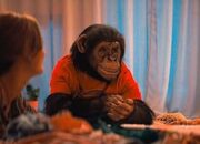 Nonton Primate Sub Indo atau Bahasa Indonesia di Mana? Link Legal dan Bukan LK21