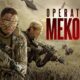 Operation Mekong
