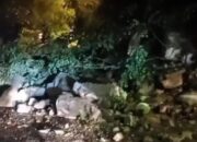 Usai Longsor, Kini Akses Jalan Cinomati–Dlingo Bantul Kembali Dibuka