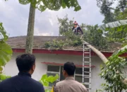 Angin Kencang Terjang Ledokombo Jember, Satu Warga Tewas Tertimpa Pohon Tumbang