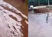 Banjir Warna Merah di Pekalongan Bikin Geger Netizen, Terungkap Penyebabnya