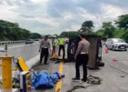 Ban Pecah di Tol Pandaan-Malang, Pikap Terguling dan Tewaskan Penumpang Asal Kepulungan