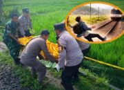 Diduga Kejar Janda di Bojonegoro Pria Muara Enim, Tewas Tertabrak KA di Jalur Tobo-Kalitidu