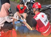 Gagal Menyalip dari Kiri Pemotor Wanita Tergelincir Tewas Setelah Menabrak Pohon Pinggir Jalan di Mojokerto