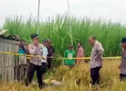 TRAGIS! Dua Petani di Madiun Tewas Tersengat Listrik Saat Perbaiki Kabel Pompa