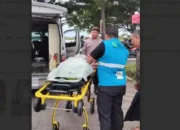 Kecelakaan Maut di Gresik! Tiga Motor Bertabrakan di Cerme, Satu Pengendara Tewas Tragis