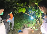 ODGJ Meninggal di Area Ladang Blitar, Polisi Pastikan Tidak Ada Unsur Pidana