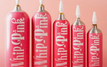 Bikin Geger! Influencer APG Diduga Pakai 'Gas Tertawa' Whip Pink demi Sensasi Fly 3 IMG 20260202 164547