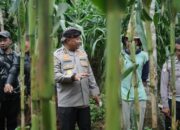 Polda Jabar Salurkan Pinjaman Primkoppol ke 56 Kelompok Tani Jagung di Nagreg