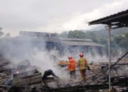 Kebakaran Hebat Belasan Ribu Ayam di Oro-Ora Ombo Kota Batu Mati Terpanggang, Kerugian 1 Miliar