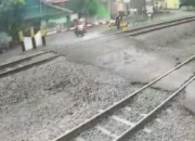 Lansia 66 Tahun Tewas Tertabrak Kereta Api di Perlintasan Tanpa Palang Pintu Lamongan