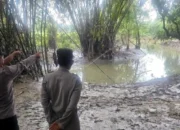 Dua Balita di Ngawi Meninggal Tenggelam Saat Bermain di Sungai Desa Ngale, Begini Kronologinya