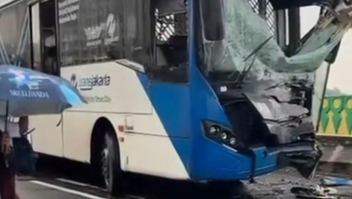 Kecelakaan Adu Banteng