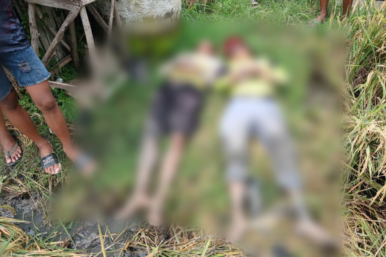 Pembajak Sawah Tewas Tersengat Listrik