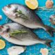 Ikan laut