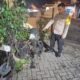 Tabrak Lari Beruntun di Jombang (Istimewa)