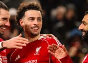 Skor Akhir Liverpool vs Brighton, The Reds Amankan 3 Poin