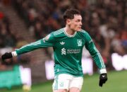 Skor Akhir Sunderland vs Liverpool, Van Djik Penentu