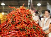 Harga Cabai Turun Serentak, Stabilkan Pasar Usai Lebaran