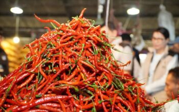 Harga Cabai Turun Serentak, Stabilkan Pasar Usai Lebaran 3 Harga Cabai Turun Serentak