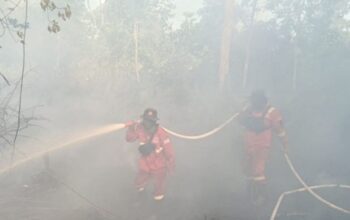 Karhutla Meluas di Riau,