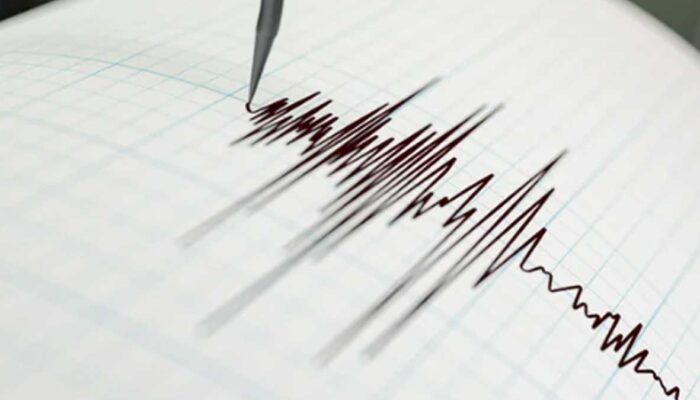 Sigi Diguncang Gempa M 4,8, BMKG Catat Gempa Susulan Usai Guncangan Utama